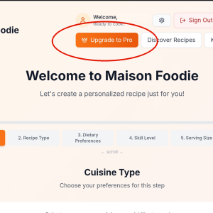 2. Click "Upgrade to Pro" button.